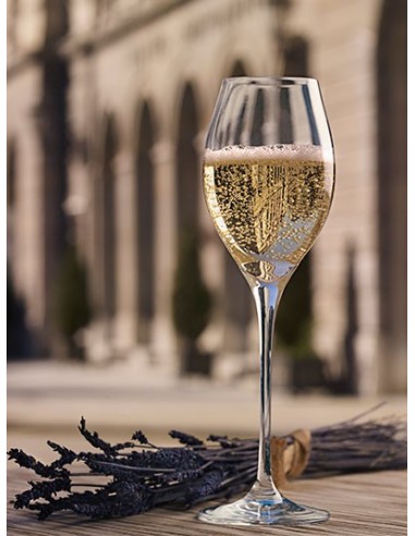 11.6 Copa Falanghina
