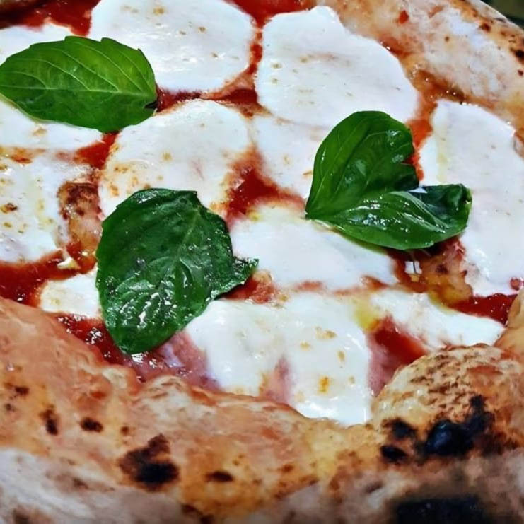 6.1 Pizza Regina Margherita